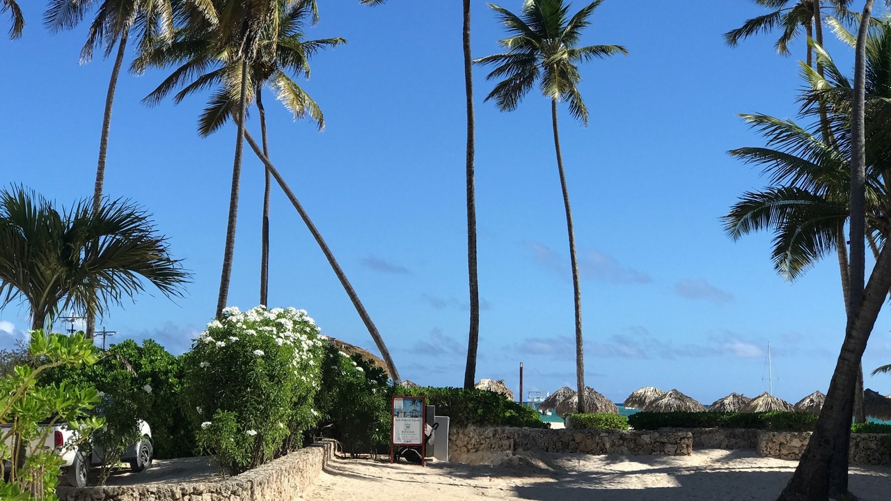 Photo of Others in Bavaro