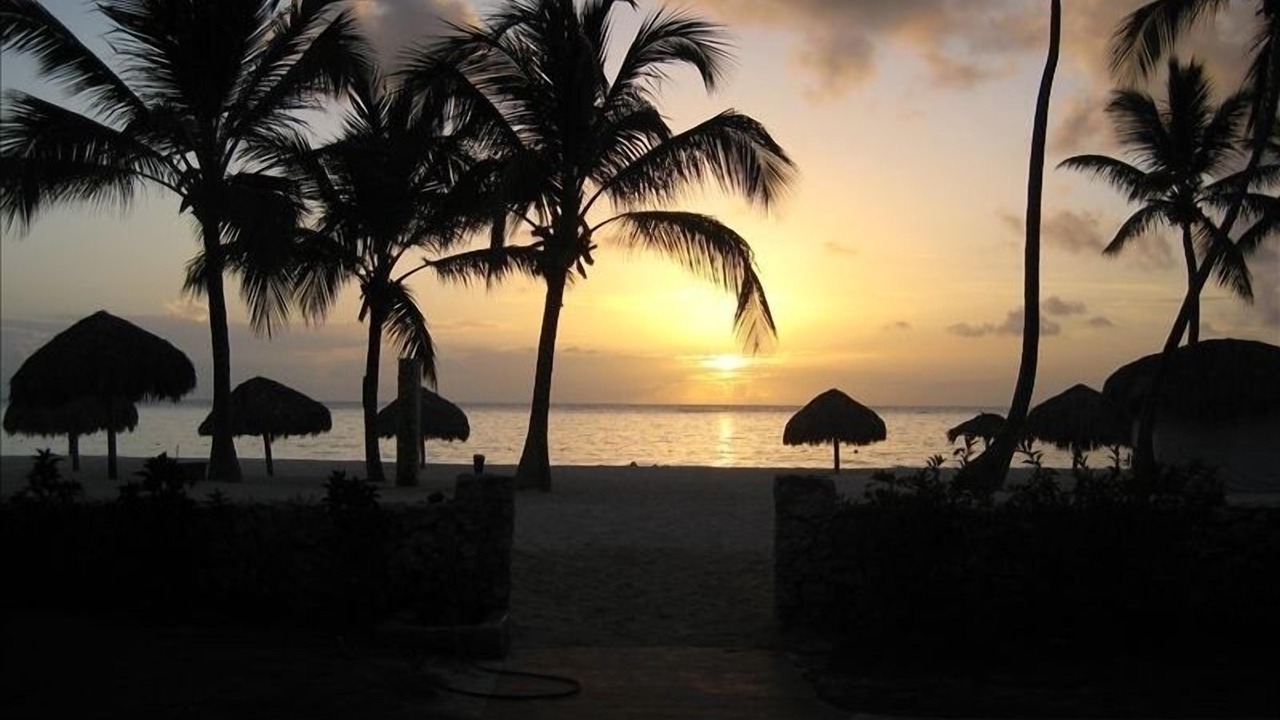 Photo of Others in Bavaro