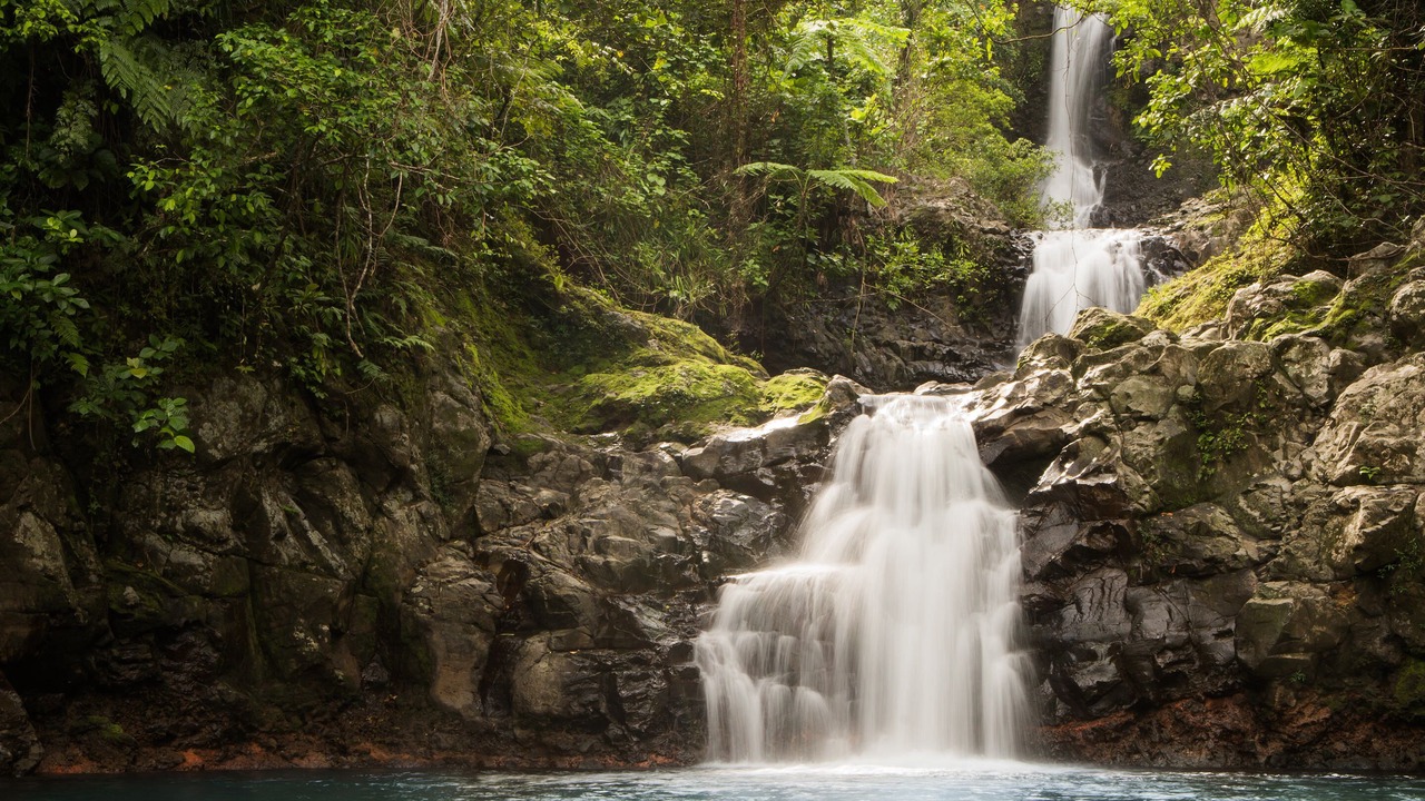 Photo of Outdoor in Taveuni Island East