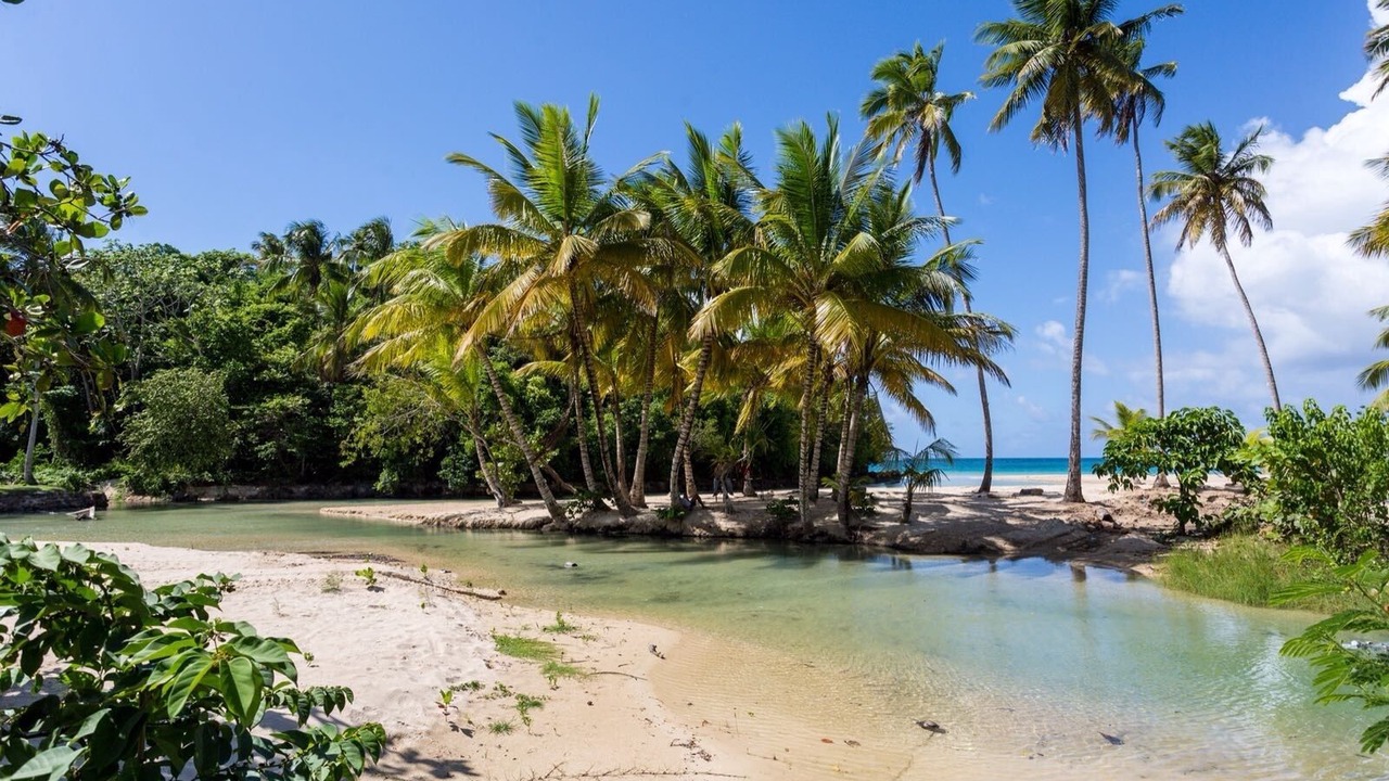Photo of Others in Las Terrenas