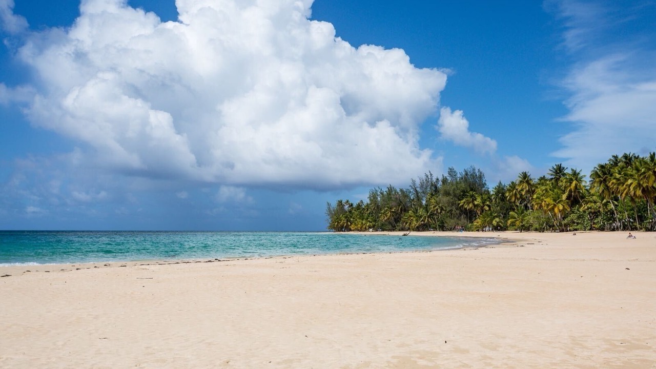 Photo of Others in Las Terrenas