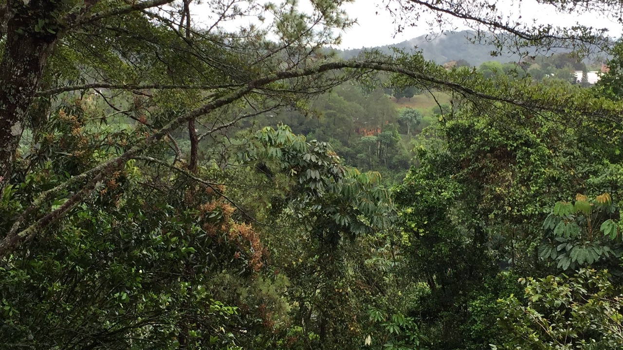 Photo of Outdoor in Jarabacoa