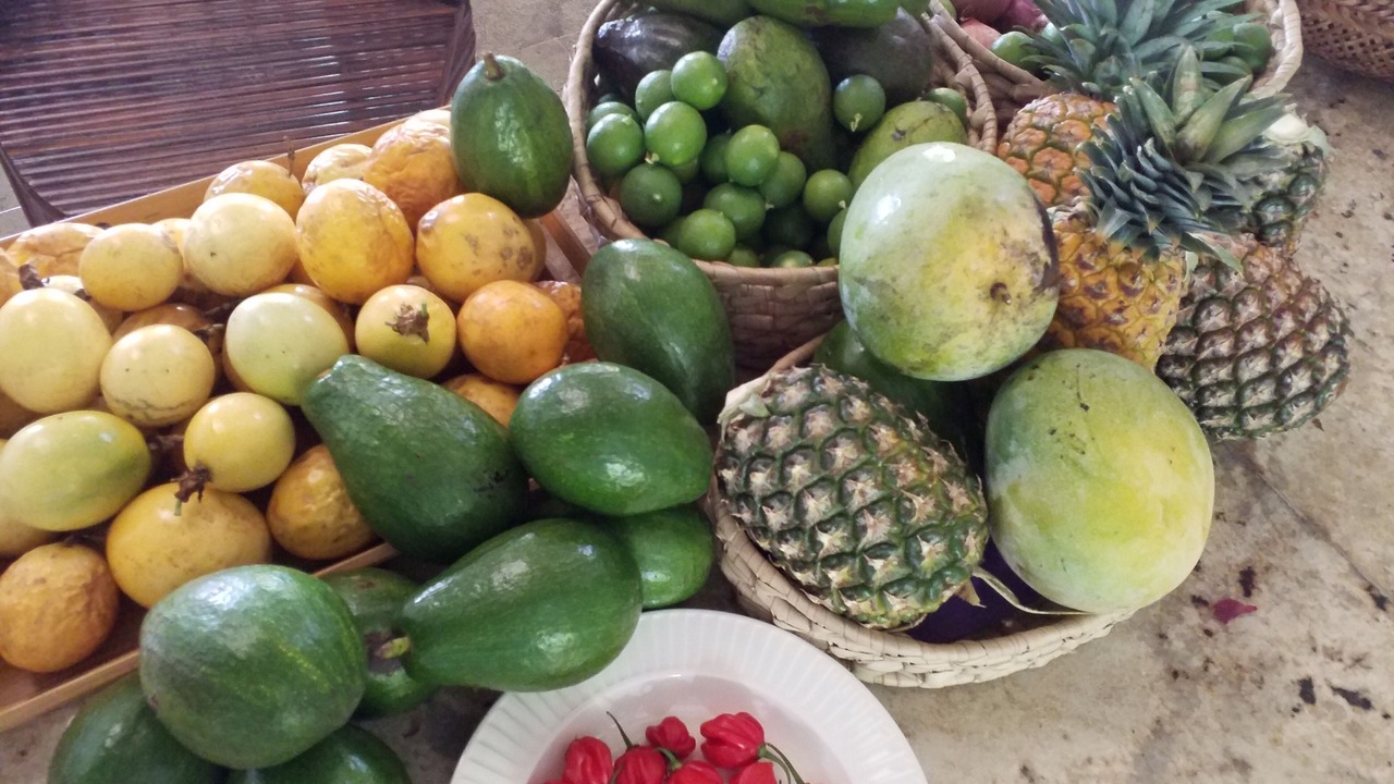 Photo of Others in Las Galeras