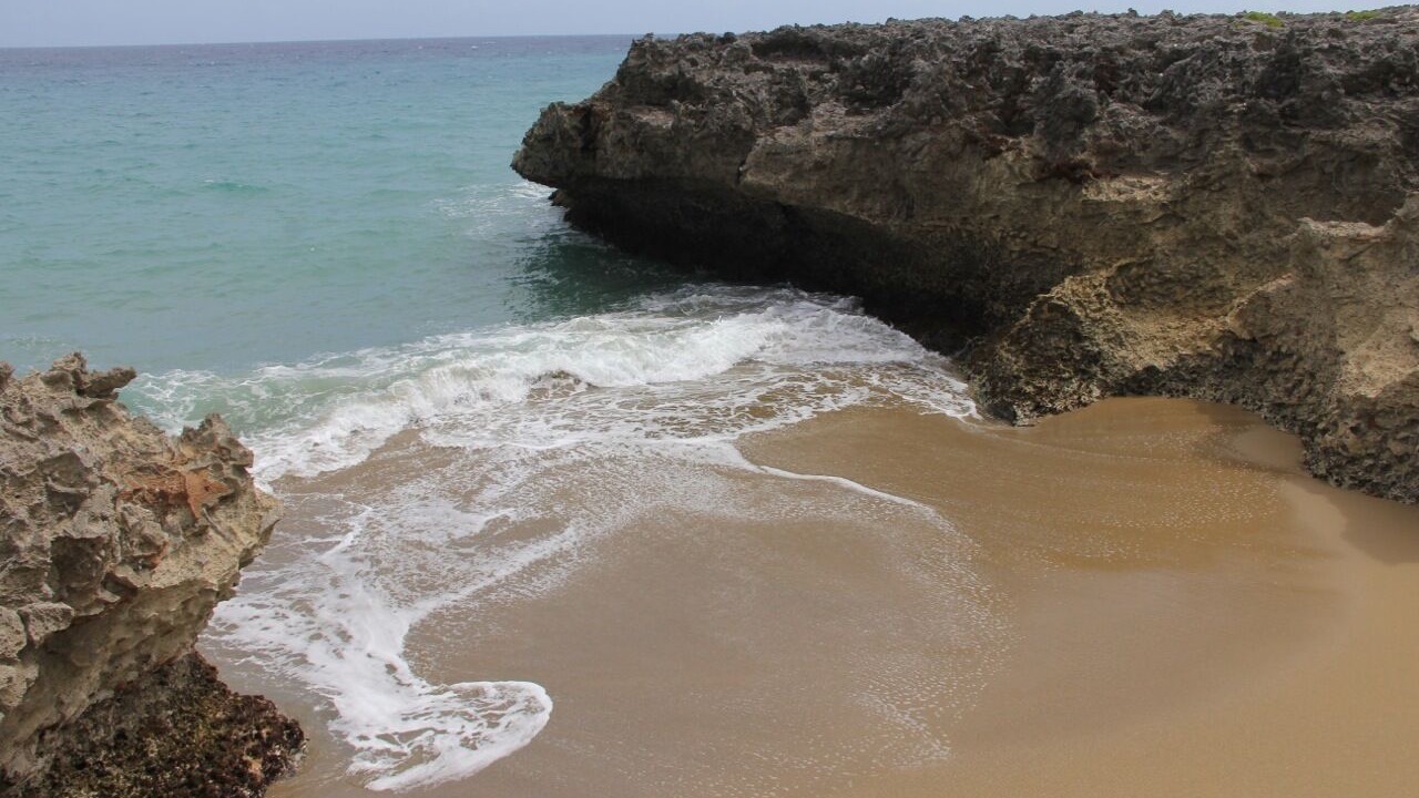 Photo of Others in Playa Chiquita