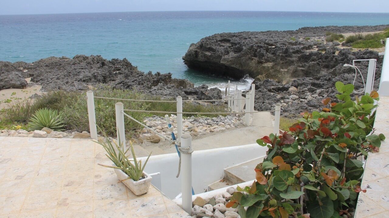 Photo of Others in Playa Chiquita