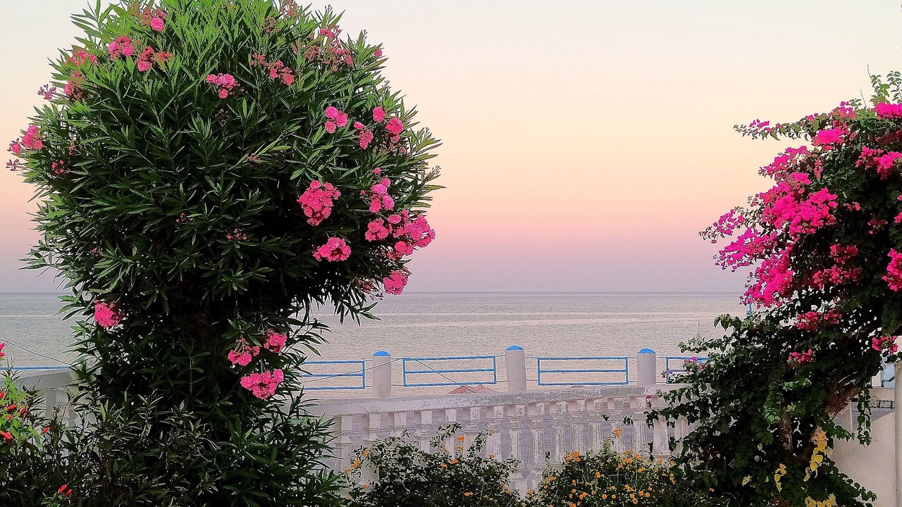 Photo of Outdoor in Stegna