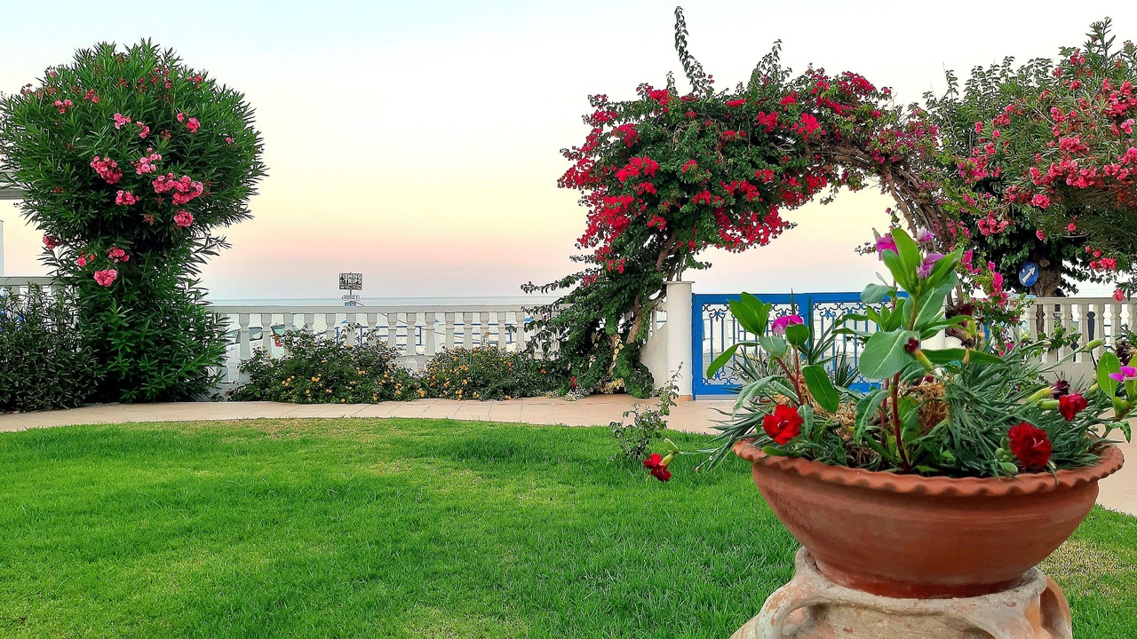 Photo of Outdoor in Stegna