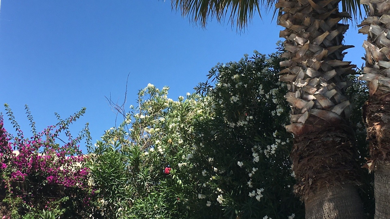Photo of Outdoor in Lardos