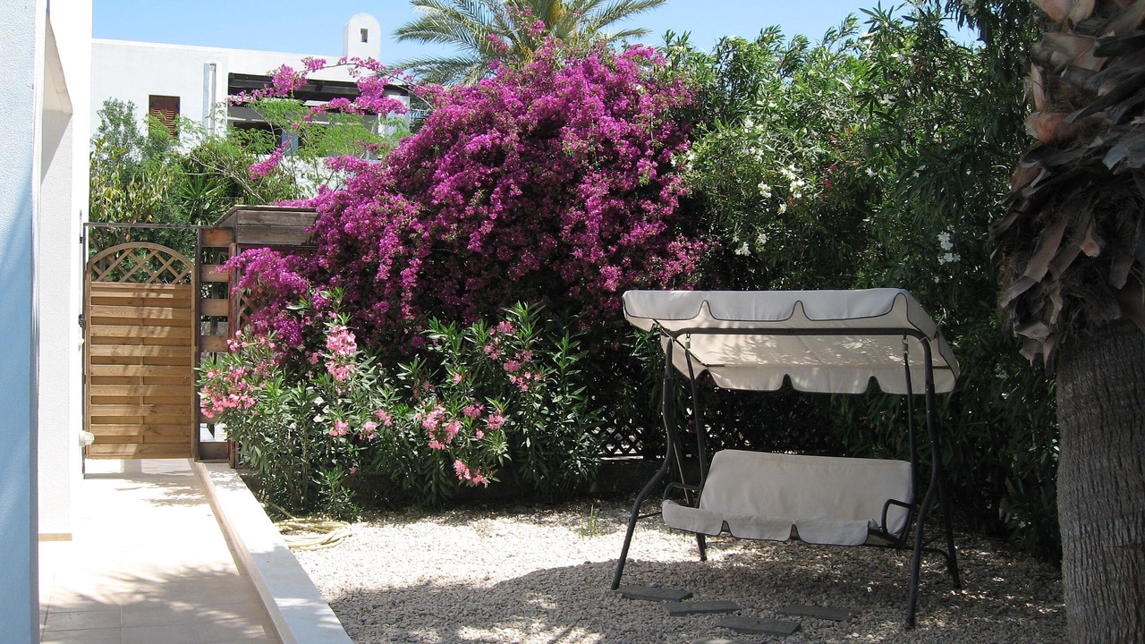 Photo of Outdoor in Lardos