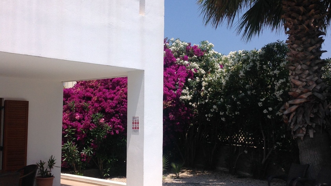Photo of Outdoor in Lardos