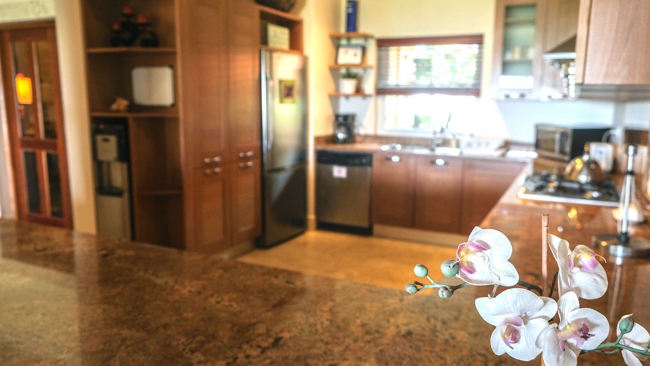 Photo of Kitchen in Cabarete