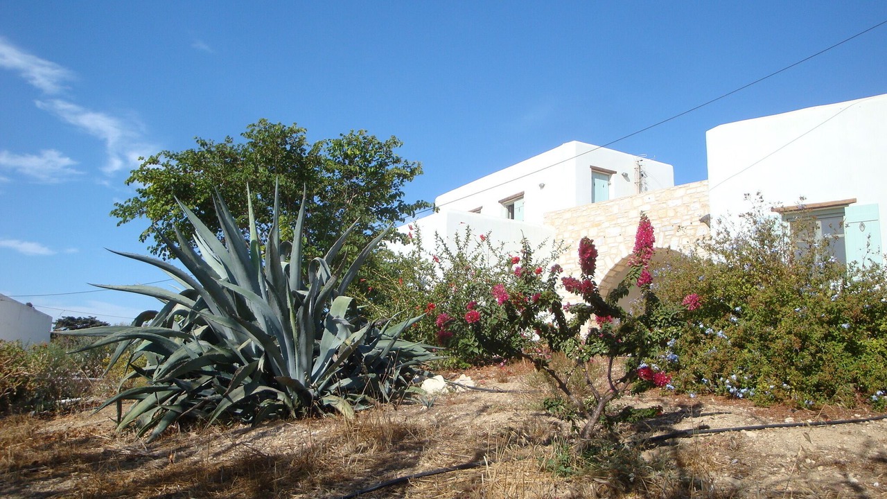 Photo of Outdoor in Drios