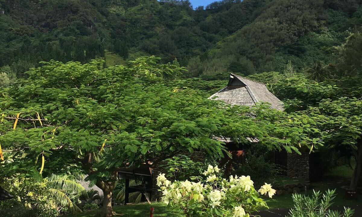 Photo of Outdoor in Moorea-Maiao