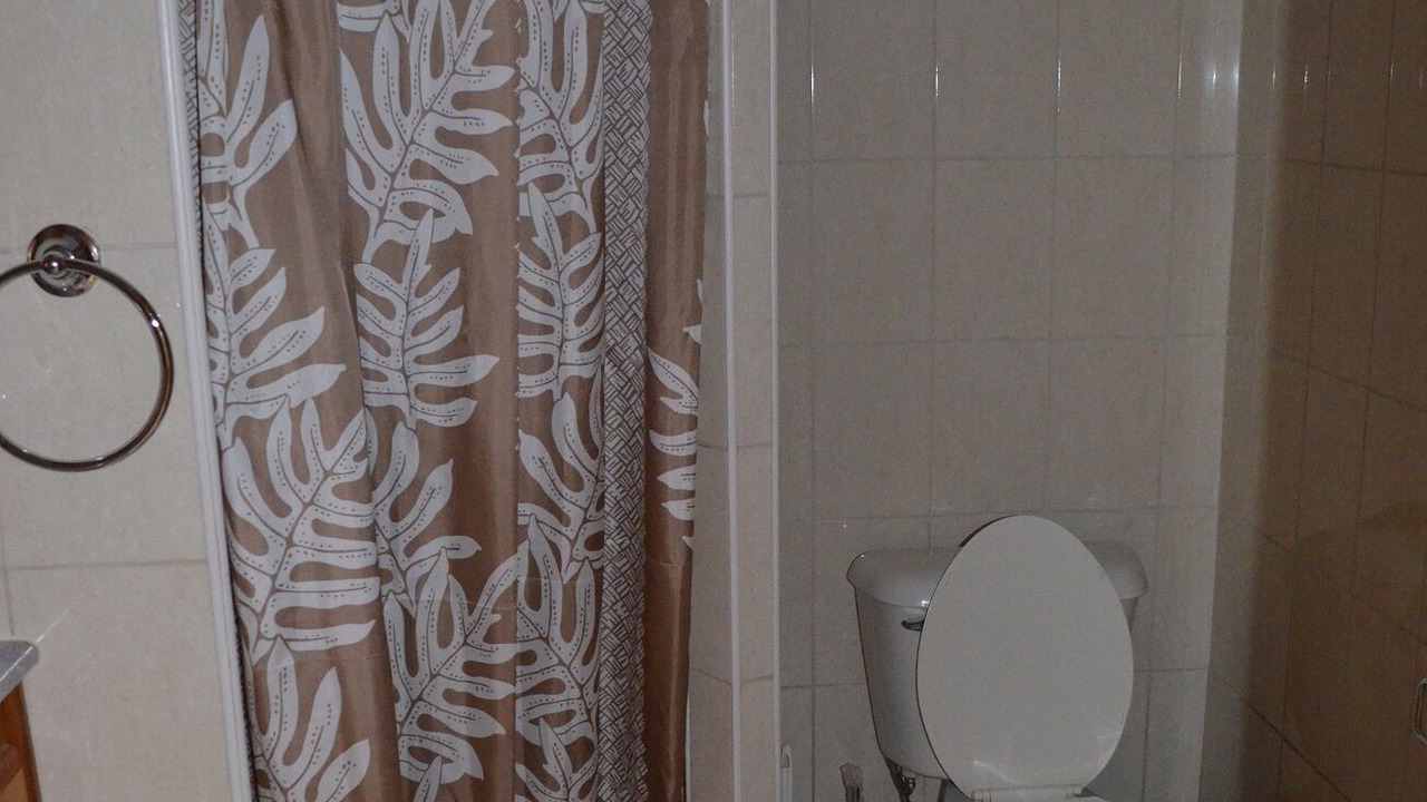 Photo of Bathroom in Pa'ofa'i