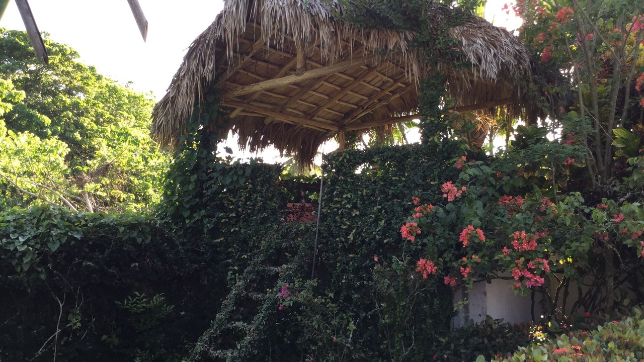 Photo of Outdoor in La Iglesia