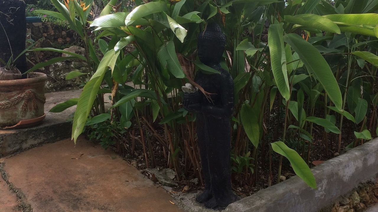 Photo of Outdoor in Rio San Juan