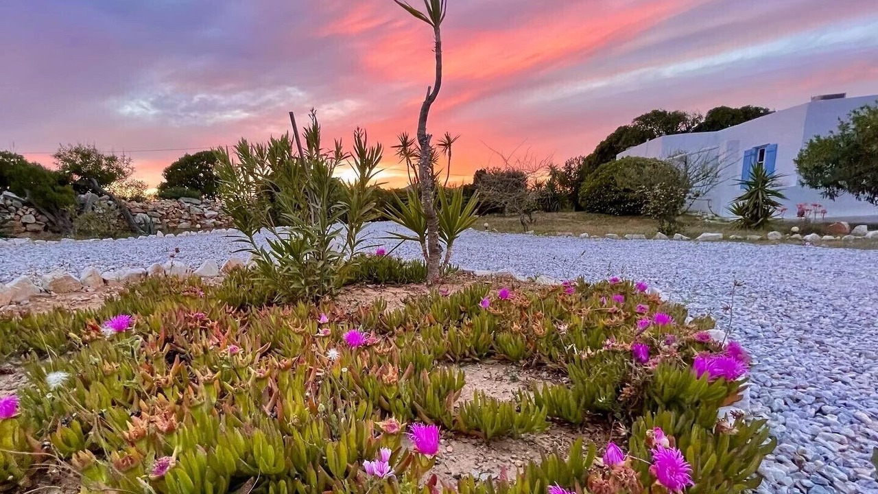 Photo of Outdoor in Naousa