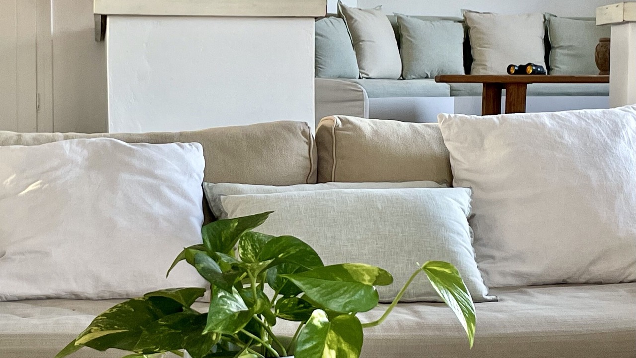 Photo of Livingroom in Naousa