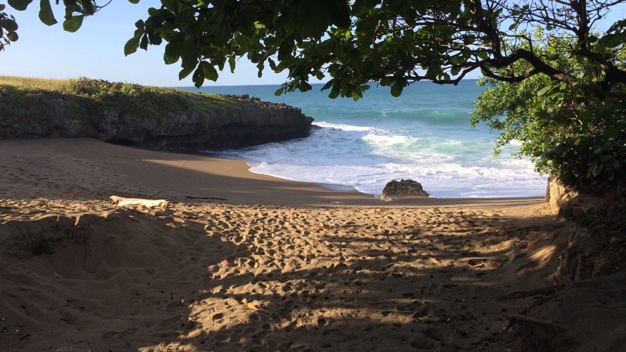 Photo of Others in Playa Chiquita