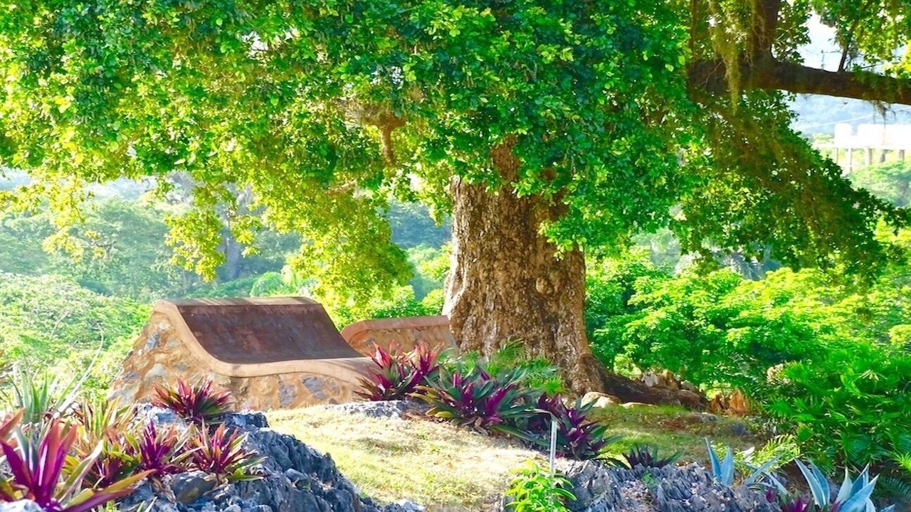 Photo of Outdoor in Las Galeras