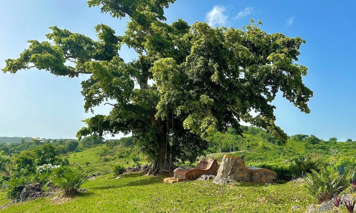 Photo of Outdoor in Las Galeras