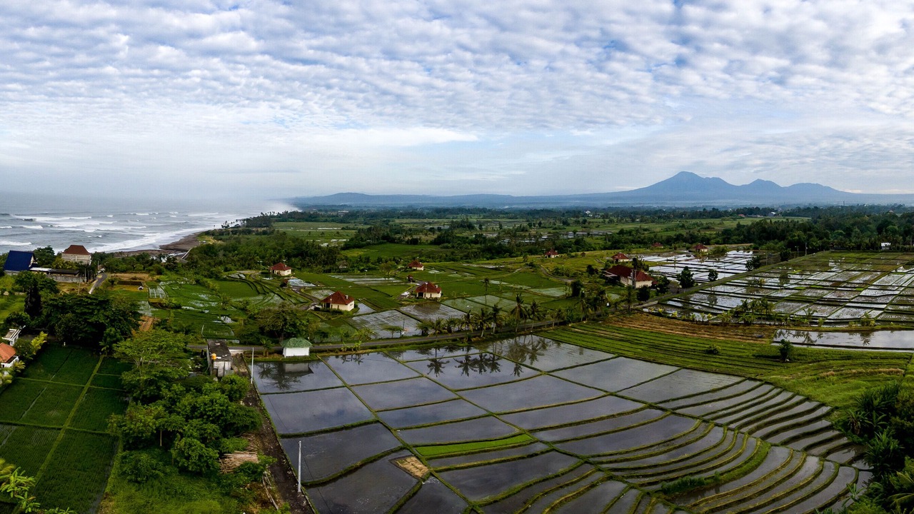 Photo of Outdoor in Kediri