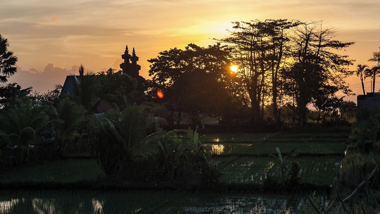 Photo of Others in Kediri