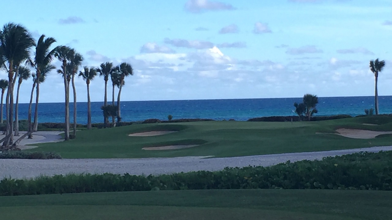 Photo of Others in Punta Cana