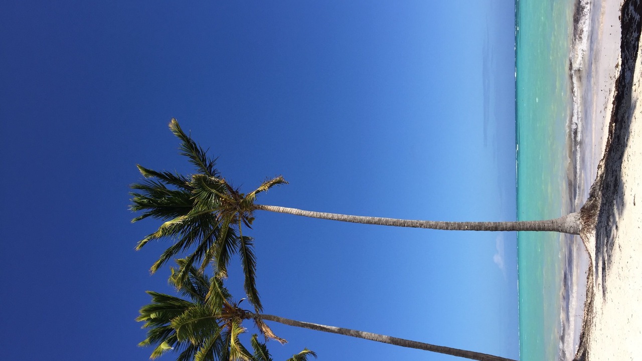 Photo of Others in Punta Cana