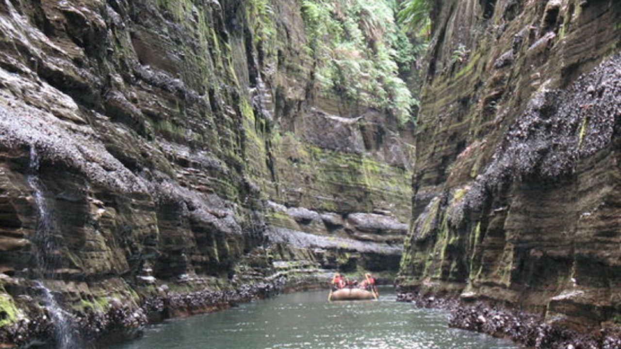 Photo of Others in Pacific Harbour