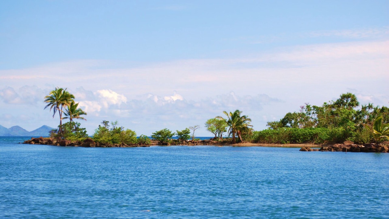 Photo of Others in Pacific Harbour