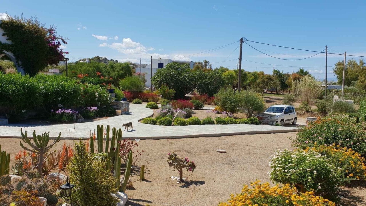 Photo of Outdoor in Naxos