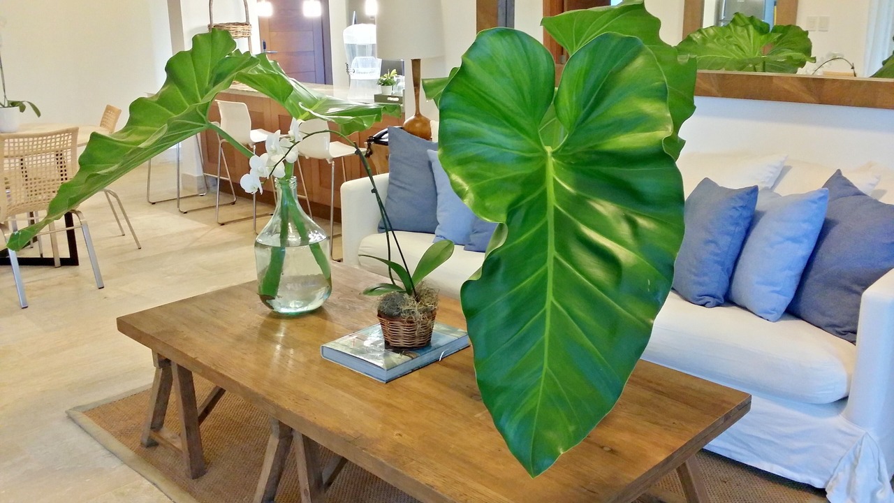 Photo of Livingroom in Puerto Bahia
