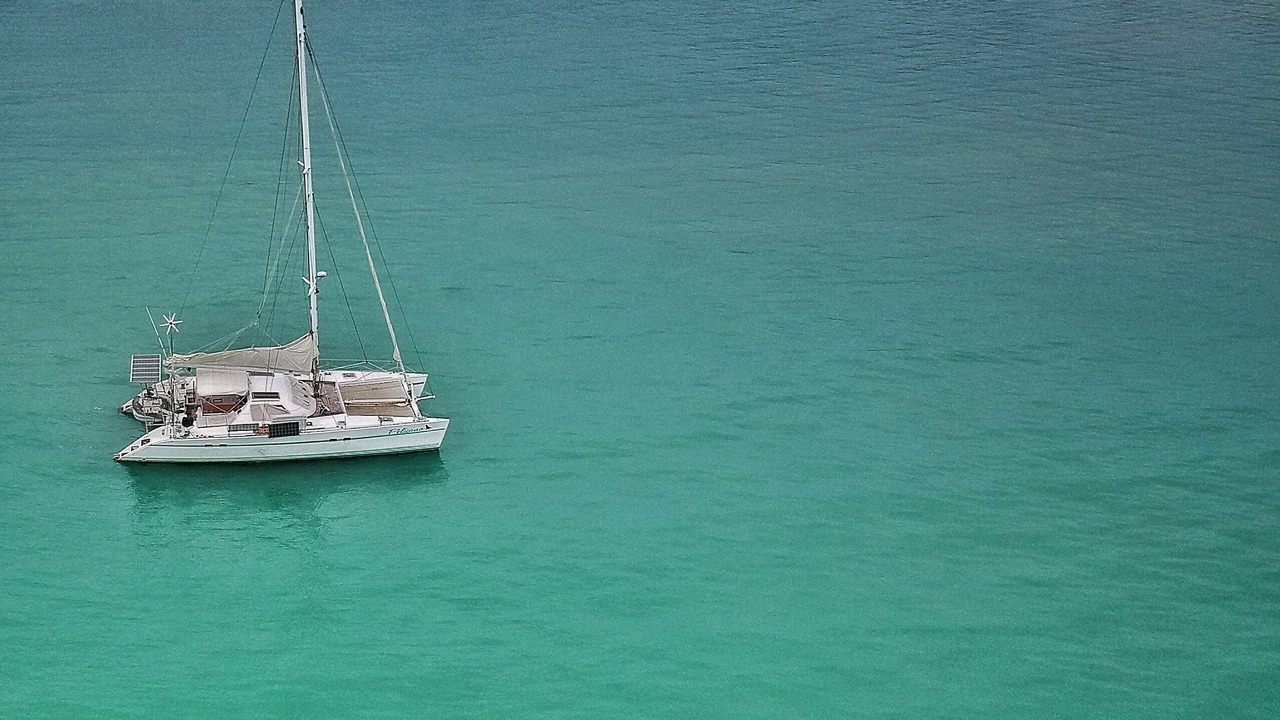 Photo of Others in Puerto Bahia