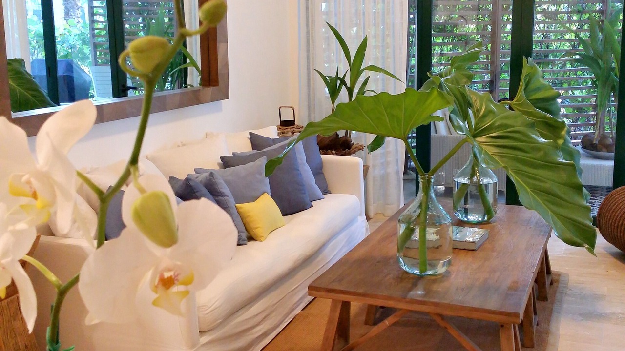 Photo of Livingroom in Puerto Bahia