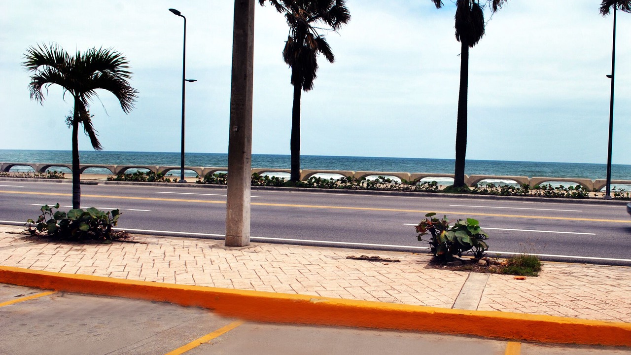 Photo of Outdoor in San Geronimo