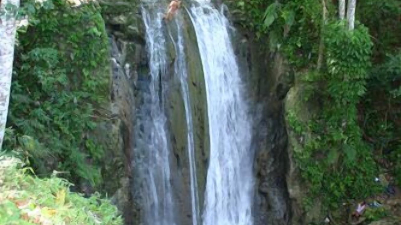 Photo of Others in Cabrera
