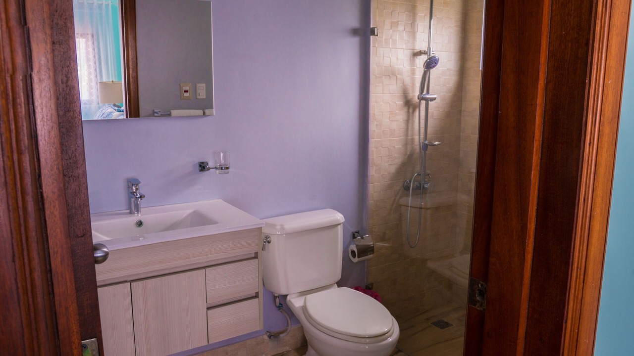 Photo of Bathroom in Bavaro