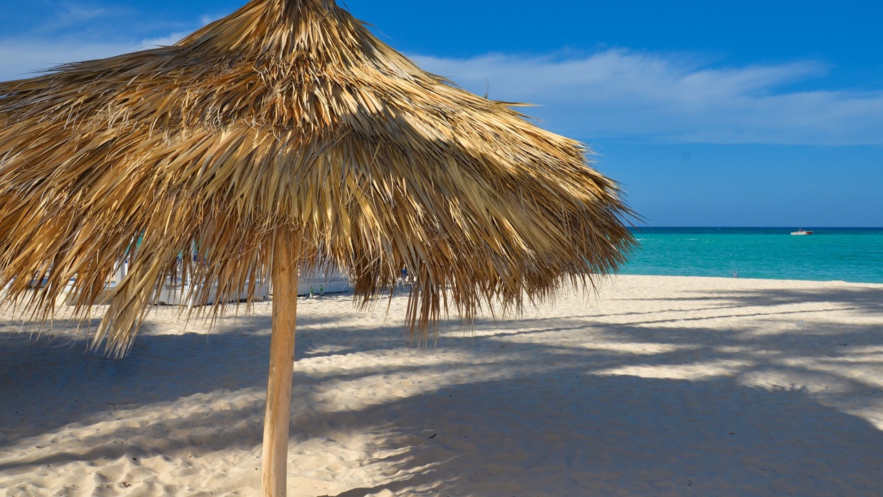 Photo of Others in Bavaro