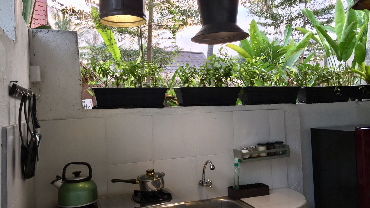 Photo of Kitchen in Lodtunduh