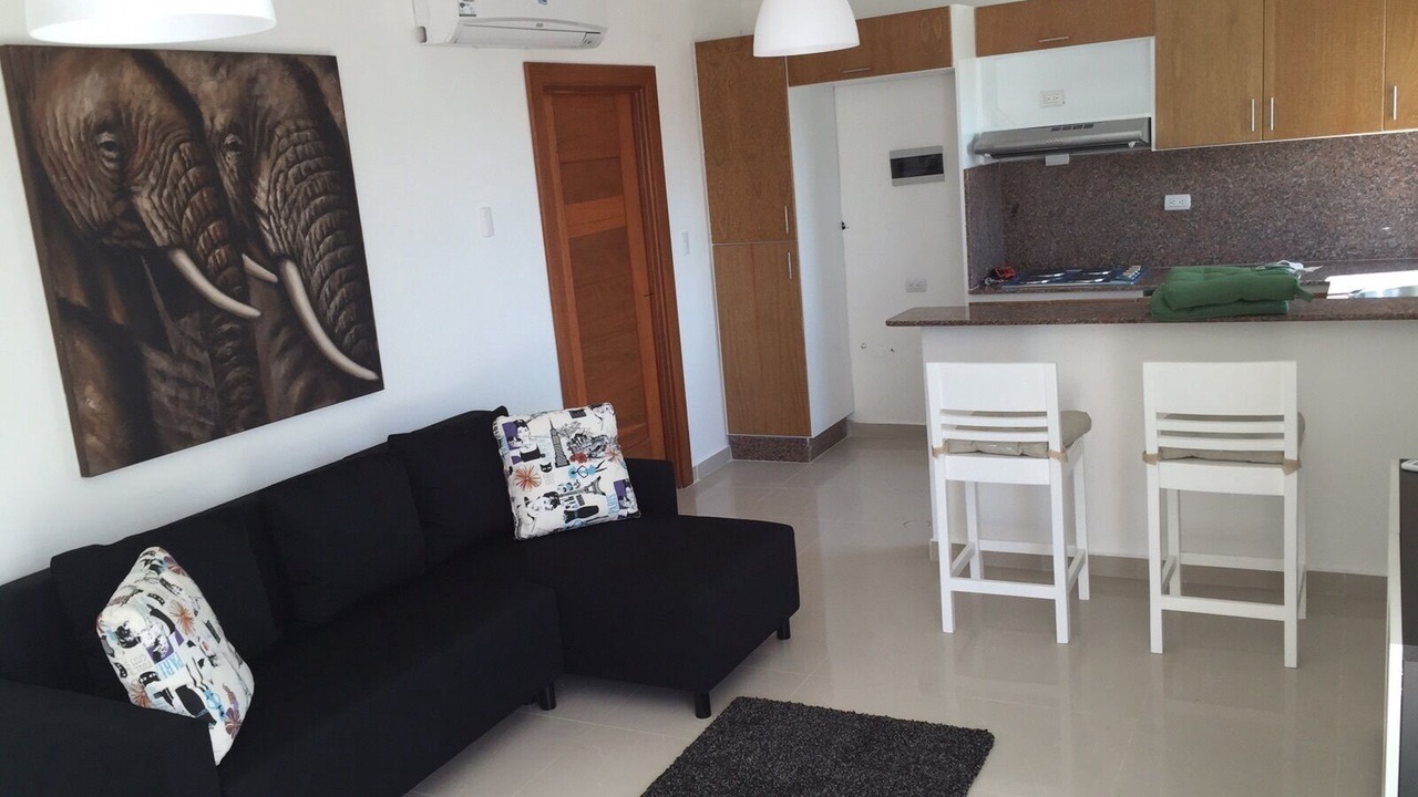 Photo of Livingroom in Boca Chica