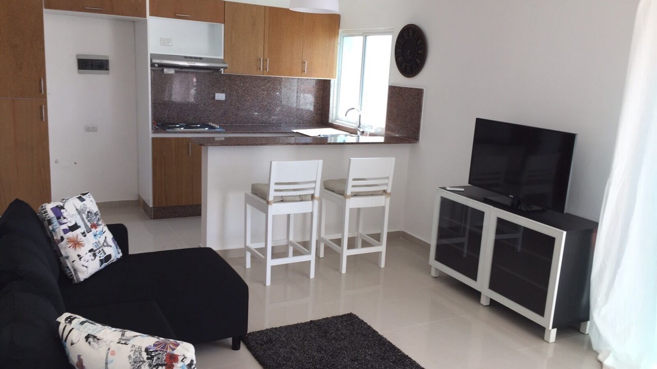 Photo of Livingroom in Boca Chica