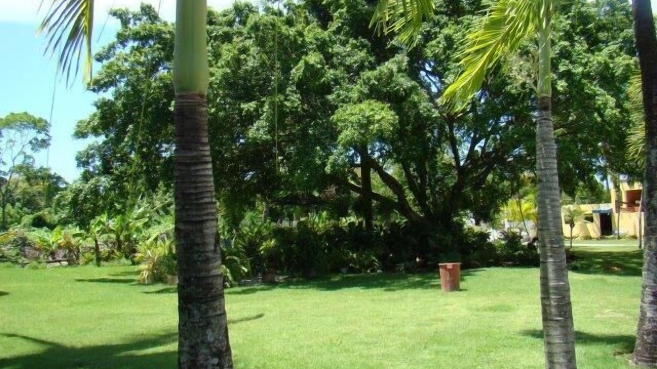 Photo of Outdoor in El Batey
