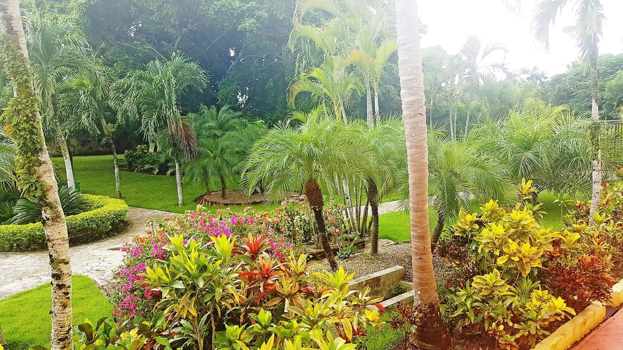 Photo of Outdoor in El Batey
