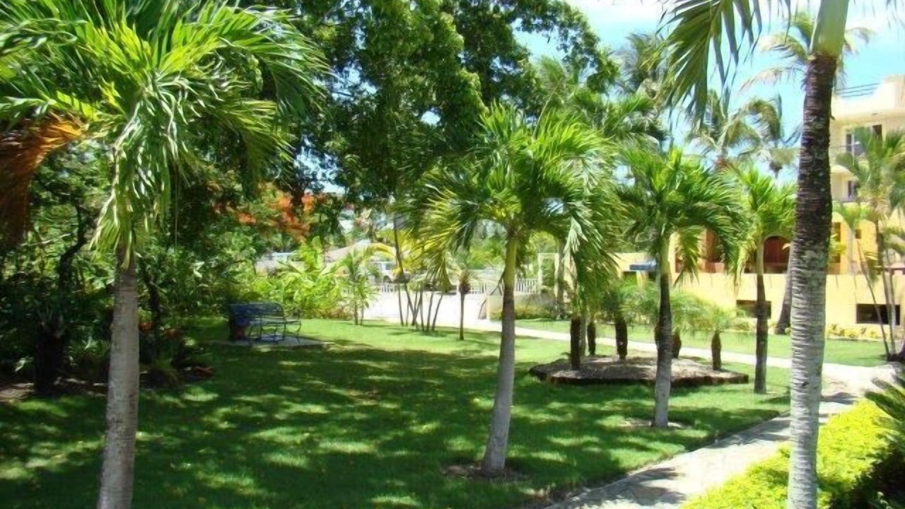Photo of Outdoor in El Batey