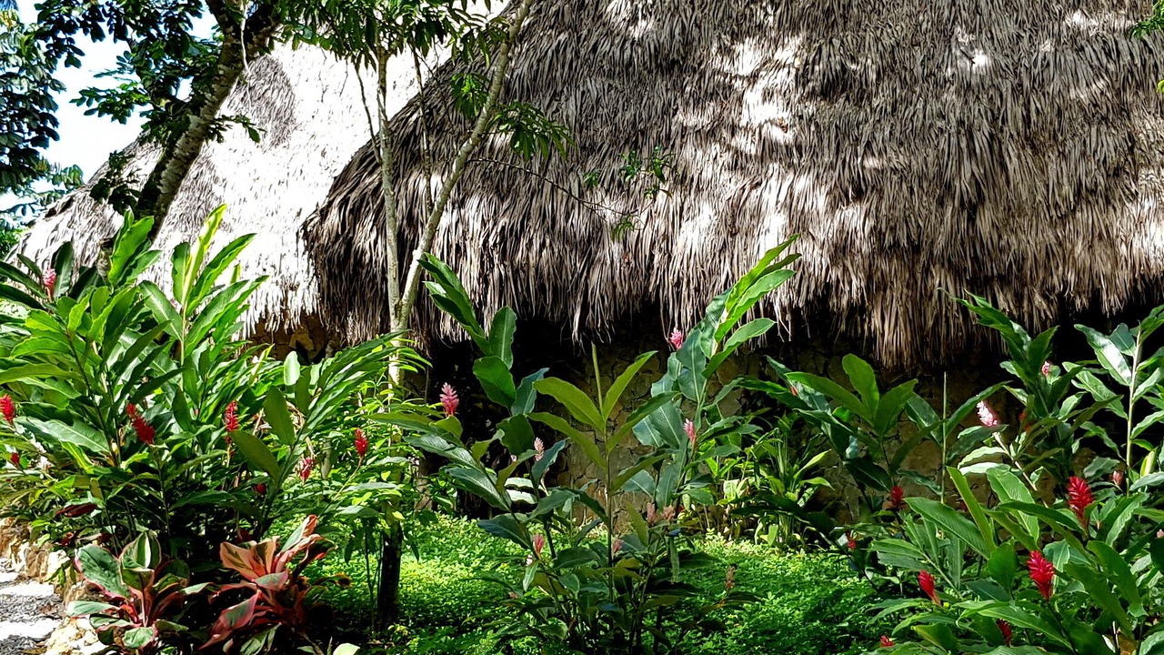 Photo of Outdoor in Samana