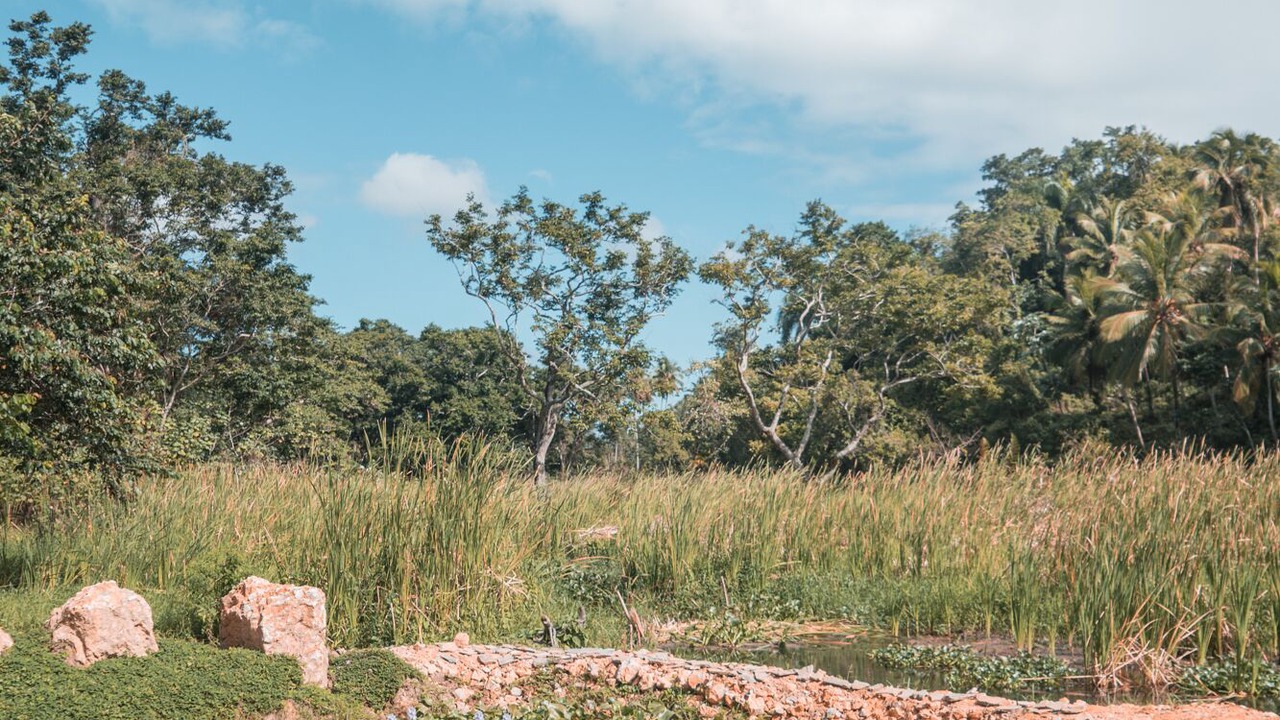 Photo of Outdoor in Samana