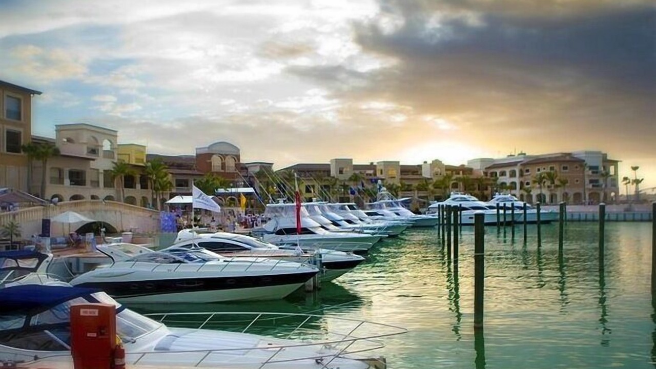 Photo of Others in Cap Cana Marina