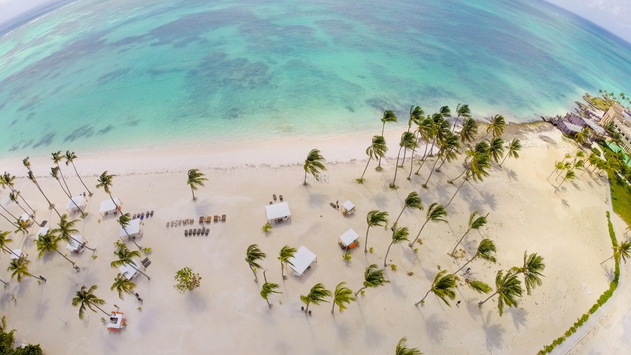 Photo of Others in Cap Cana Marina