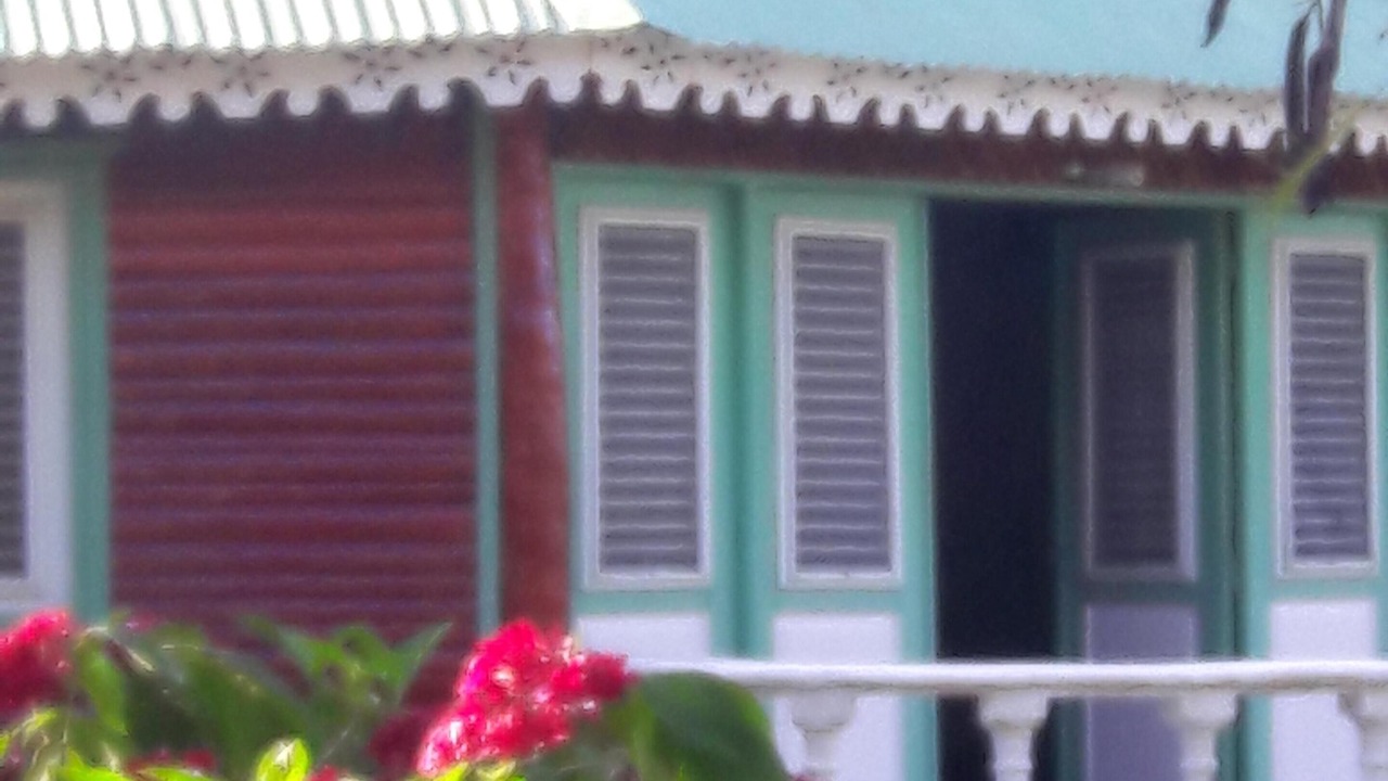 Photo of Outdoor in Rio San Juan
